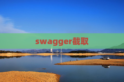 swagger截取 swagger截取